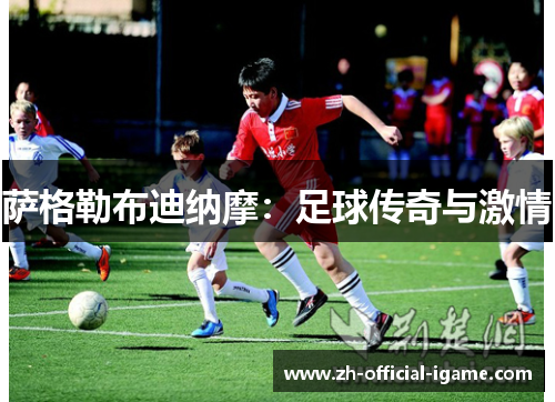 萨格勒布迪纳摩:足球传奇与激情 萨格勒布迪纳摩:足球传奇与激情