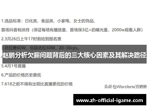 赵鹏分析欠薪问题背后的三大核心因素及其解决路径 赵鹏分析欠薪问题背后的三大核心因素及其解决路径
