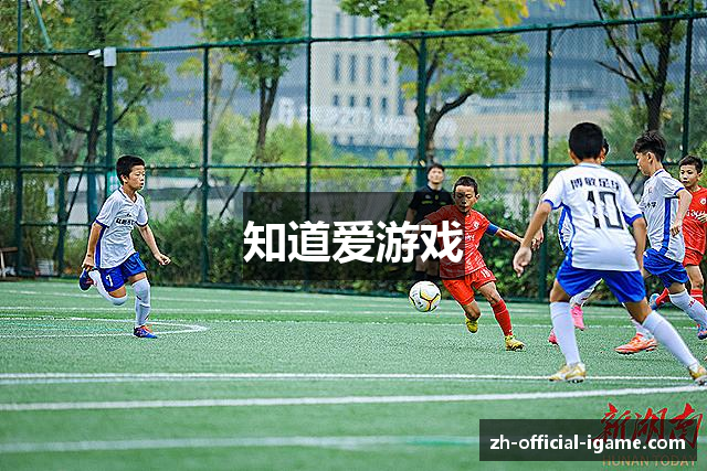 知道爱游戏